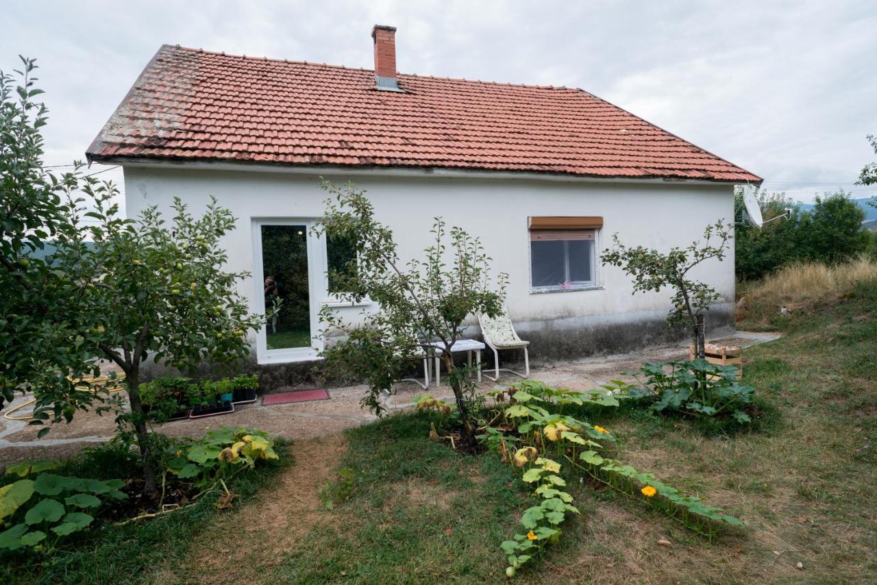 Kuca Na Selu + Besplatan Parking Villa Niksic Luaran gambar